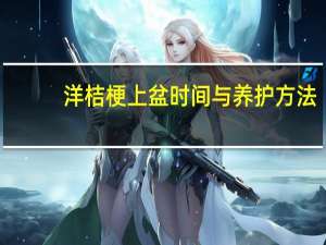 洋桔梗上盆时间与养护方法