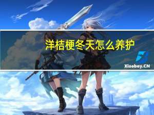 洋桔梗冬天怎么养护