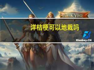 洋桔梗可以地栽吗