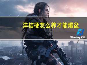洋桔梗怎么养才能爆盆（洋桔梗怎么养）