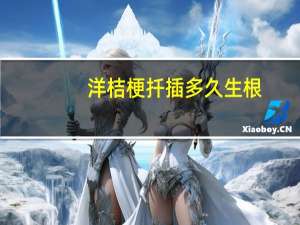 洋桔梗扦插多久生根