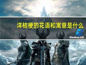 洋桔梗的花语和寓意是什么