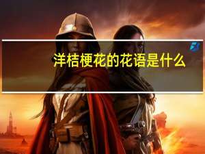 洋桔梗花的花语是什么