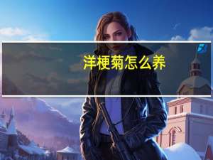 洋梗菊怎么养