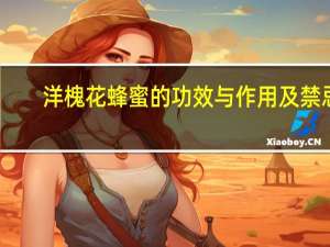 洋槐花蜂蜜的功效与作用及禁忌（洋槐花蜂蜜的功效与作用）