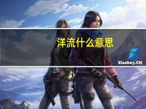 洋流什么意思