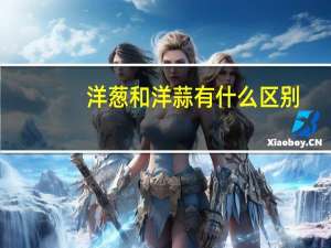 洋葱和洋蒜有什么区别