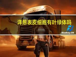 洋葱表皮细胞有叶绿体吗