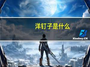 洋钉子是什么