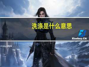 洗涤是什么意思（xd是什么意思）