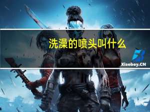 洗澡的喷头叫什么