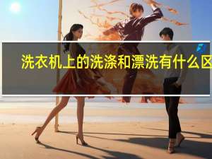 洗衣机上的洗涤和漂洗有什么区别