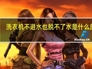 洗衣机不进水也脱不了水是什么原因（洗衣机不进水）