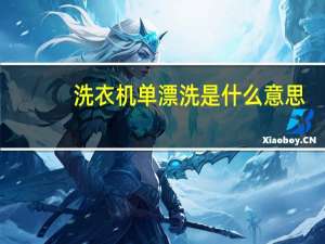 洗衣机单漂洗是什么意思