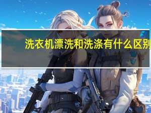 洗衣机漂洗和洗涤有什么区别