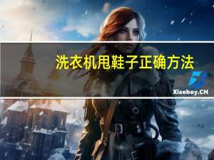 洗衣机甩鞋子正确方法