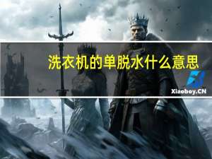 洗衣机的单脱水什么意思