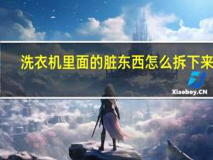 洗衣机里面的脏东西怎么拆下来洗（洗衣机里面的脏东西怎样清理）