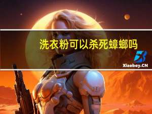 洗衣粉可以杀死蟑螂吗