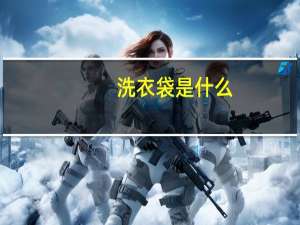 洗衣袋是什么