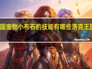 洛克王国宠物小布石的技能有哪些 洛克王国宠物技能石