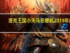 洛克王国小天马在哪抓2019年的（洛克王国小天马在哪抓2019）