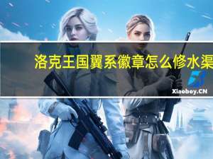 洛克王国翼系徽章怎么修水渠