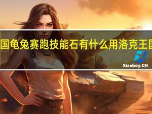 洛克王国龟兔赛跑技能石有什么用 洛克王国宠物技能石