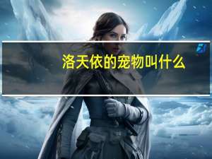 洛天依的宠物叫什么
