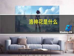 洛神花是什么