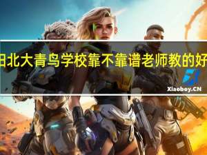 洛阳北大青鸟好吗洛阳北大青鸟学校靠不靠谱老师教的好吗 北大青鸟学校地址在哪里