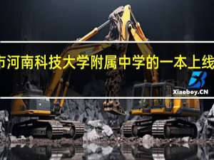 洛阳市河南科技大学附属中学的一本上线率是多少啊