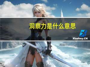 洞察力是什么意思