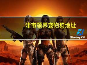 津市领养宠物狗地址