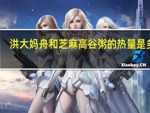 洪大妈 舟和芝麻高谷粥的热量是多少