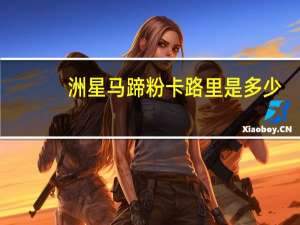 洲星 马蹄粉卡路里是多少