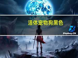 活体宠物狗黑色