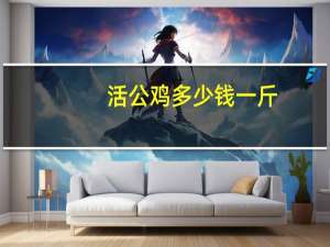 活公鸡多少钱一斤