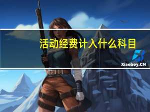活动经费计入什么科目