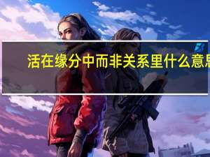 活在缘分中而非关系里什么意思