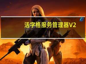 活字格服务管理器 V2.8.0.0 官方版（活字格服务管理器 V2.8.0.0 官方版功能简介）