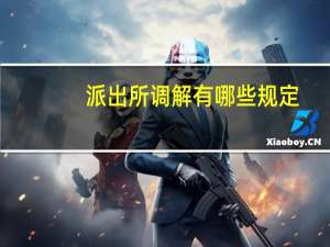 派出所调解有哪些规定