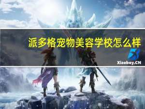派多格宠物美容学校怎么样