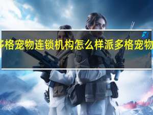派多格宠物连锁机构怎么样 派多格宠物用品商城