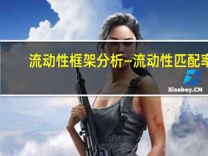 流动性框架分析—流动性匹配率