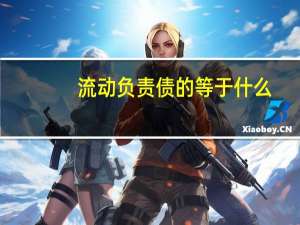 流动负责债的等于什么