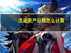 流动资产总额怎么计算