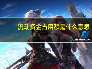 流动资金占用额是什么意思