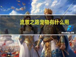 流放之路宠物有什么用