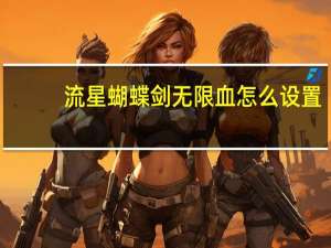 流星蝴蝶剑无限血怎么设置（流星蝴蝶剑无限血）